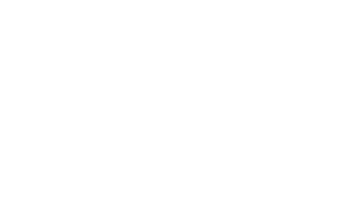 Sebring logo